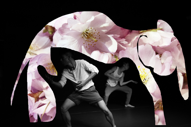 A collage of bodies dancing and a floral pink elephant